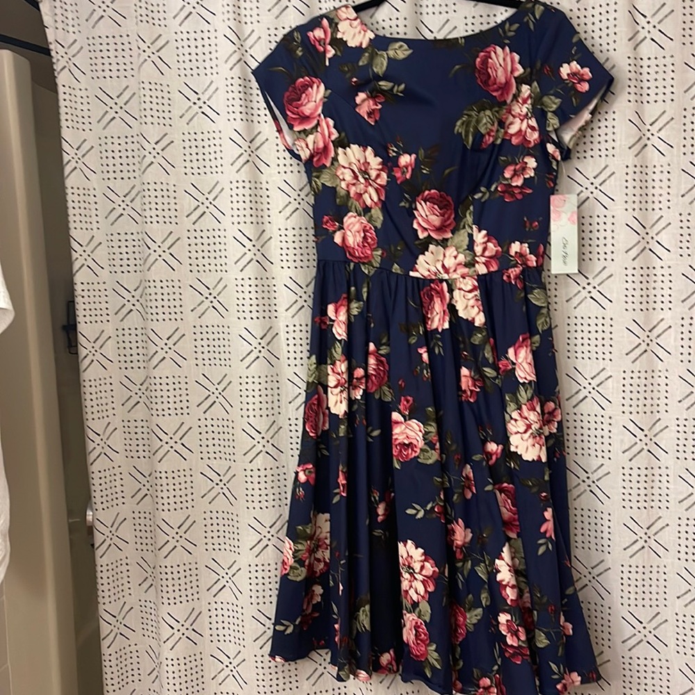 Nwt Eva rose small floral blue pink roses dress